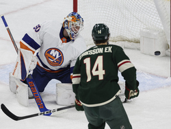 Islanders Wild Hockey