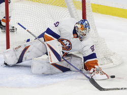 Islanders Wild Hockey