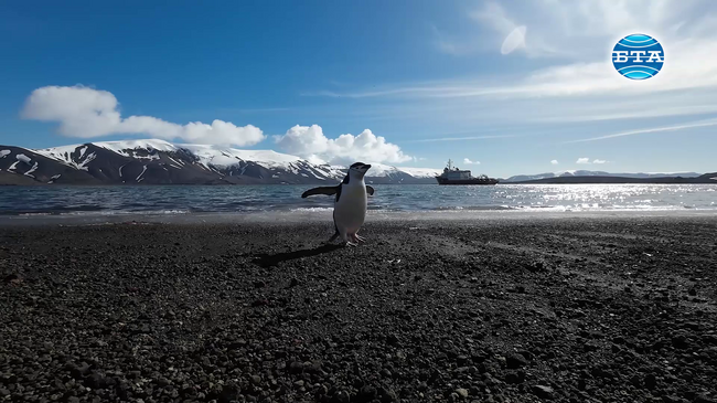 Военният научно-изследователски кораб „Св. Св. Кирил и Методий“ пусна котва в залива на остров Ливингстън