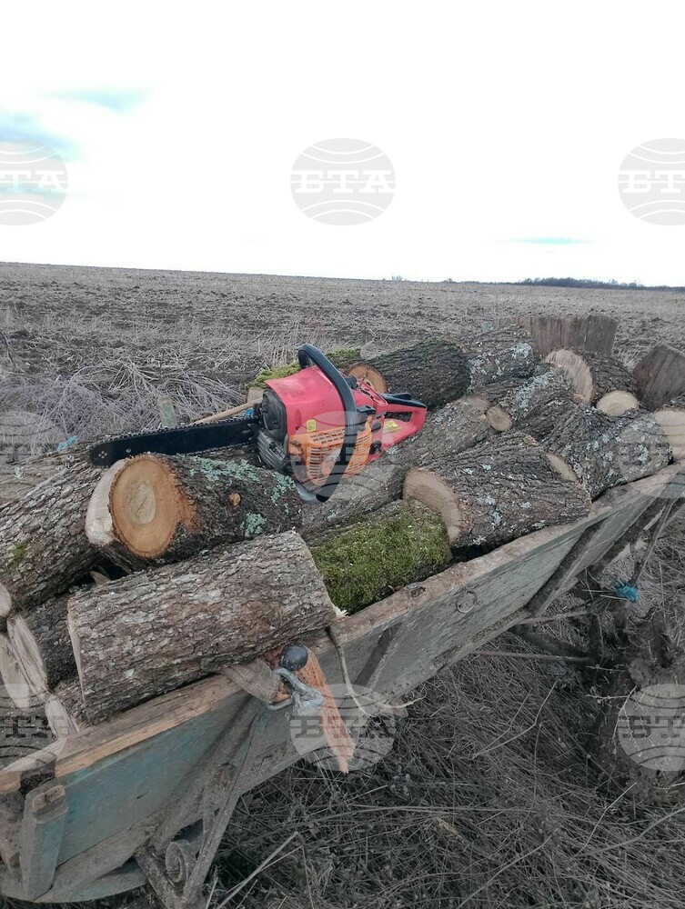 Горски служители спряха бракониерска сеч в село Извор