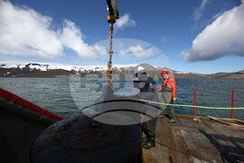 RSV 421 Drops Anchor at Livingston Island