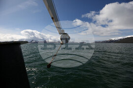 RSV 421 Drops Anchor at Livingston Island