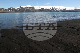 RSV 421 Drops Anchor at Livingston Island