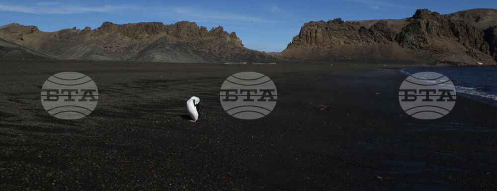 RSV 421 Drops Anchor at Livingston Island