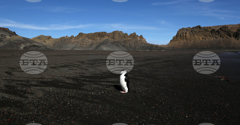 RSV 421 Drops Anchor at Livingston Island