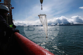 RSV 421 Drops Anchor at Livingston Island