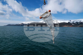 RSV 421 Drops Anchor at Livingston Island