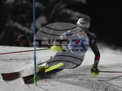 Austria Alpine Skiing World Cup