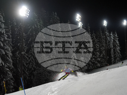 Austria Alpine Skiing World Cup