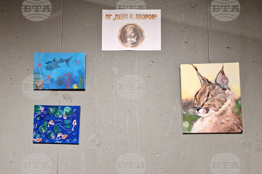 Петрич - ученици - изложба