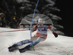 Austria Alpine Skiing World Cup