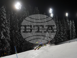 Austria Alpine Skiing World Cup