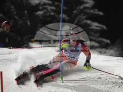 Austria Alpine Skiing World Cup