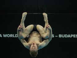 Hungary Swimming Worlds