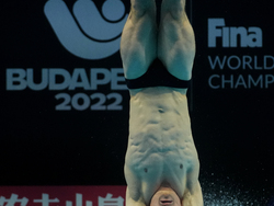 Hungary Swimming Worlds