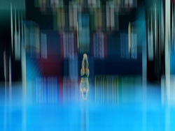 Hungary Swimming Worlds
