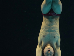 Hungary Swimming Worlds