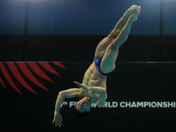 Hungary Swimming Worlds