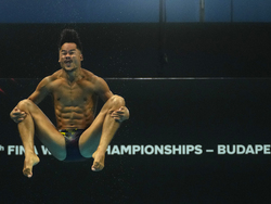 Hungary Swimming Worlds