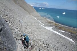 Национална антарктическа експедиция - остров Ливингстън - връх Чепеларе - изкачване