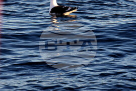  Национална антарктическа експедиция - залива Фолс Бей - пейзаж