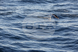  Национална антарктическа експедиция - залива Фолс Бей - пейзаж