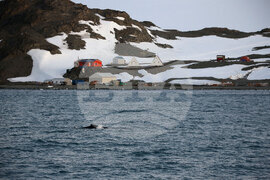  Национална антарктическа експедиция - остров Ливингстън - пейзаж