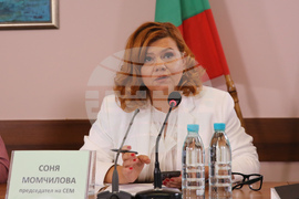 СЕМ - БНТ - Сашо Йовков - изслушване