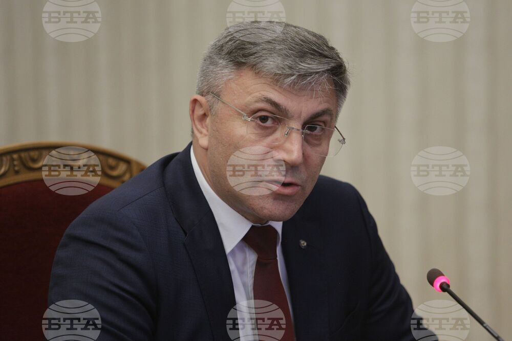 Румен Радев - ДПС - консултации