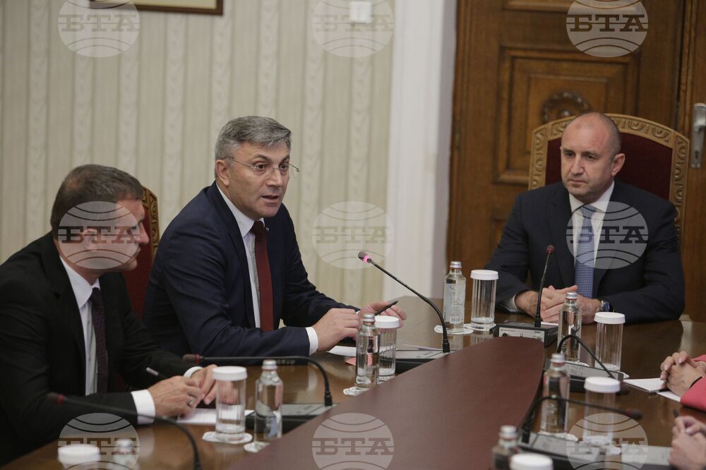 Румен Радев - ДПС - консултации