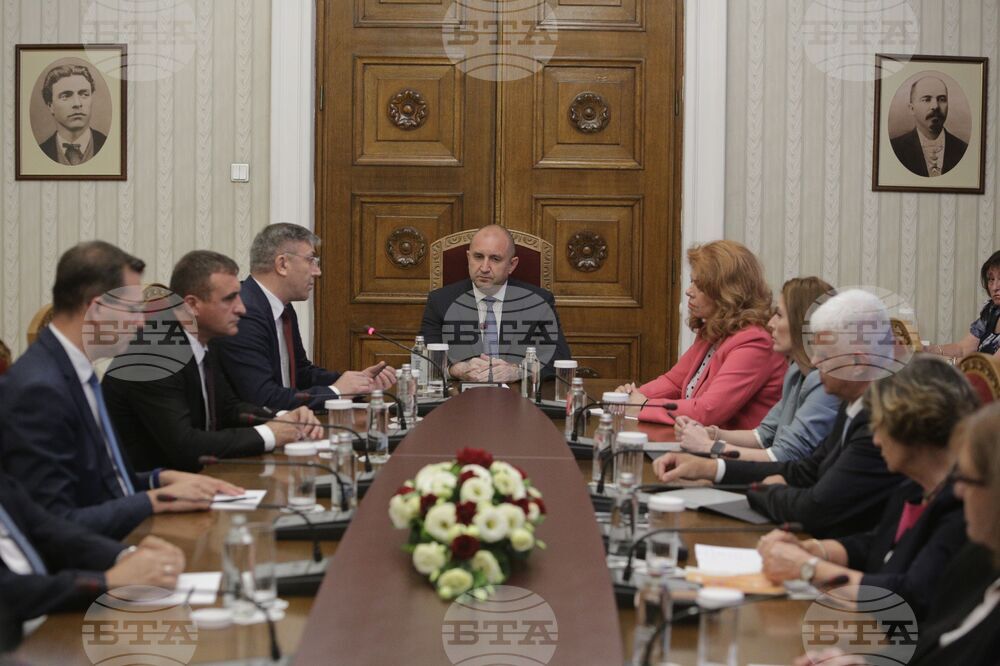 Румен Радев - ДПС - консултации