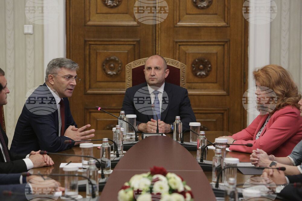 Румен Радев - ДПС - консултации