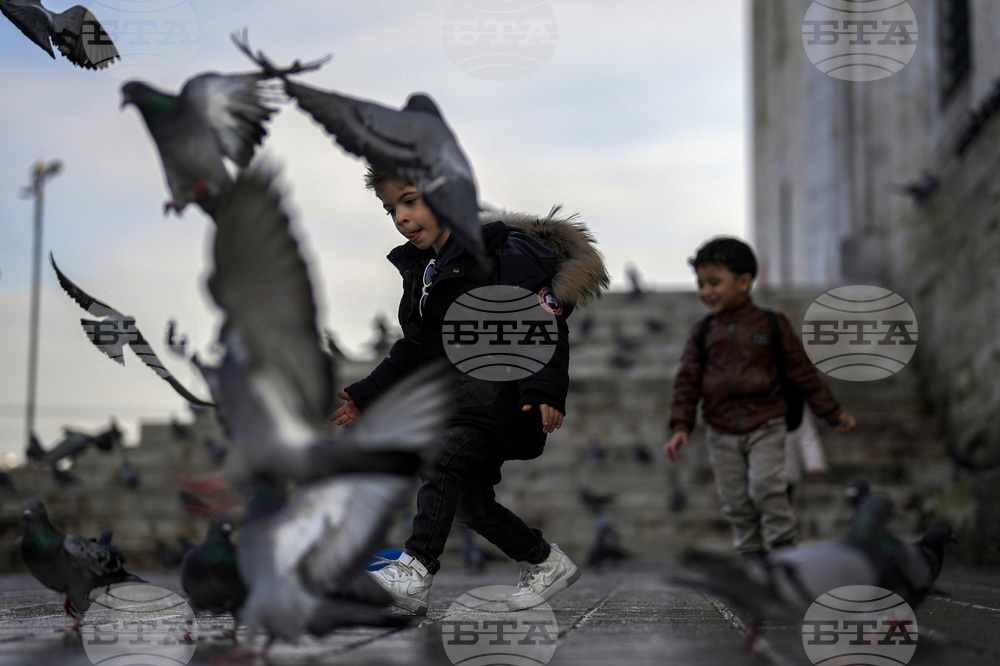 Децата съставляват една четвърт от населението на Турция към 2024 г., сочи проучване на Турския статистически институт ТЮРКСТАТ