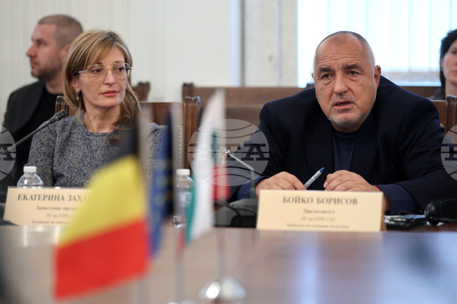 Парламент - Комисия по външна политика - заседание