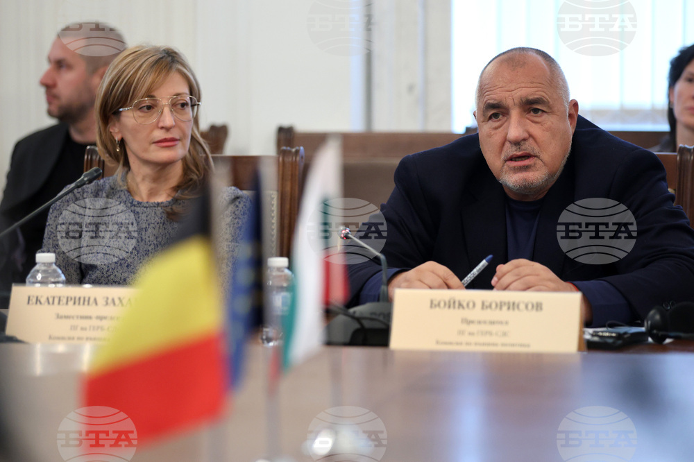 Парламент - Комисия по външна политика - заседание