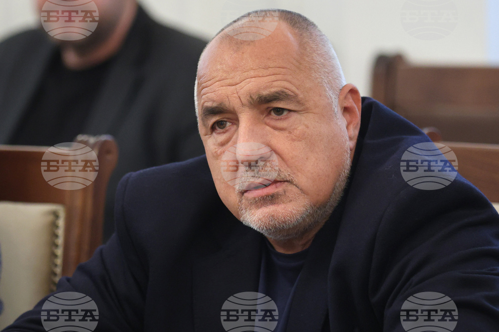 GERB Leader Borissov Talks by Phone with British Foreign Minister Cameron