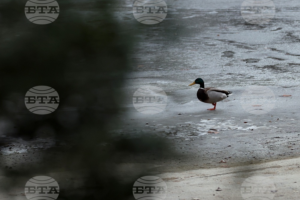 Румъния - Букурещ - ежедневие