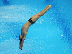 Hungary Swimming Worlds