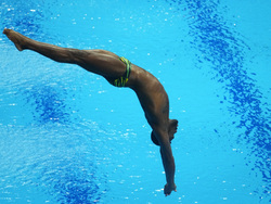 Hungary Swimming Worlds