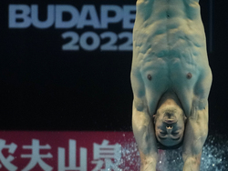 Hungary Swimming Worlds