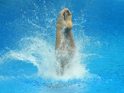 Hungary Swimming Worlds