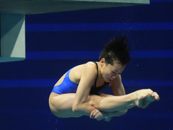 Hungary Swimming Worlds