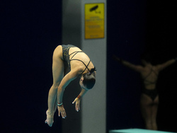 Hungary Swimming Worlds