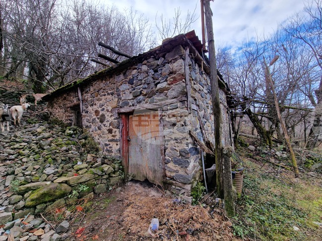 Беласица - воденица на повече от век