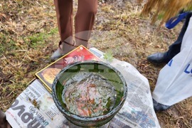 Село Доспей - Атанасовден - празник