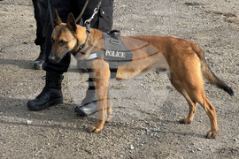 Мъглиж - полицейска операция