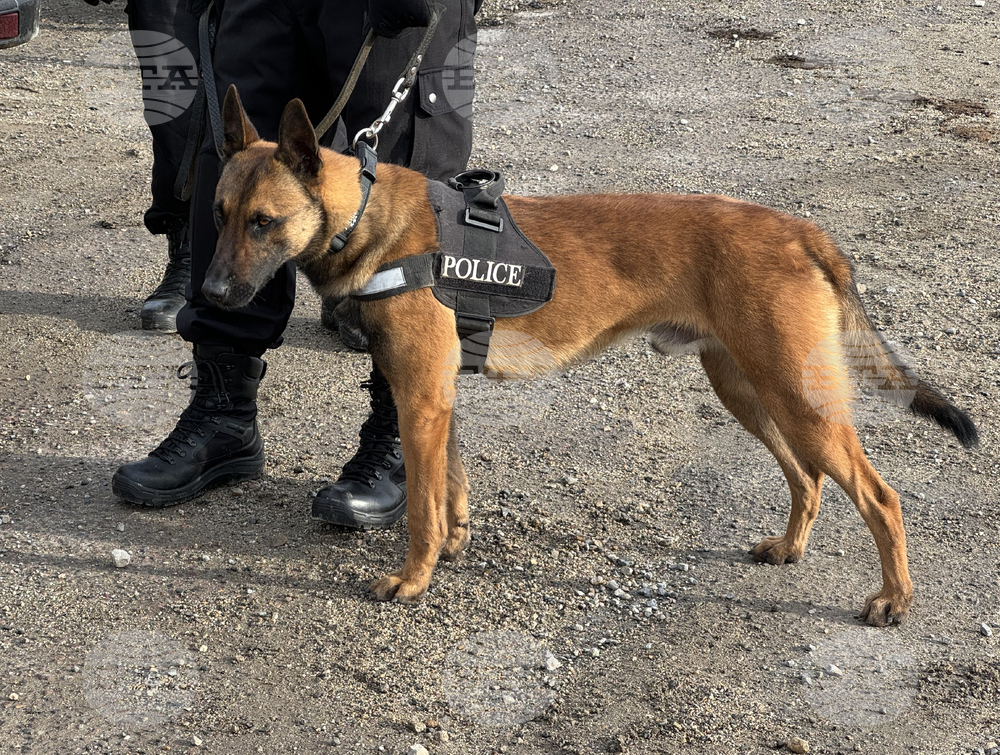 Мъглиж - полицейска операция