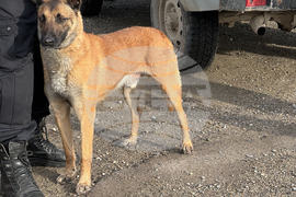 Мъглиж - полицейска операция