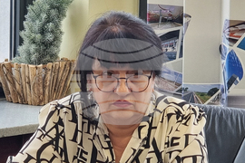 Видин - кмет - екип - представяне