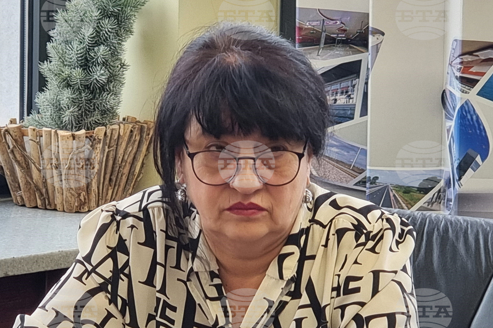 Видин - кмет - екип - представяне